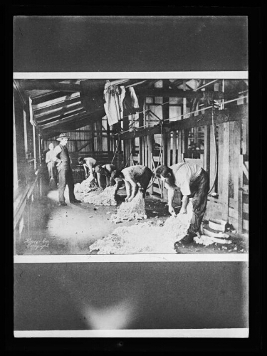 [Ouvriers travaillant la laine dans une usine] Herry. Co. Copyright