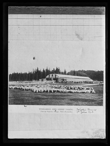Woolshed and sheep yards (Teviot station,Otago, New Zeland). Ajout à la main : Dalgety’s review, 1er juin 1903
