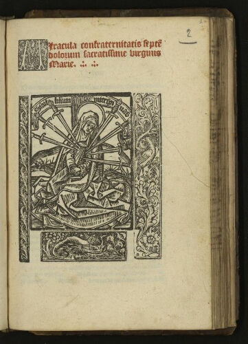 Miracula confraternitatis septem dolorum sacratissime Virginis Marie