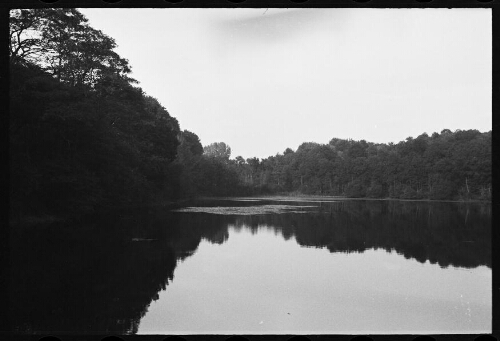 Lac ou cours d'eau environné d'arbres (Limousin ?)